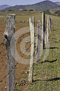 An agricultural barbed wire fence