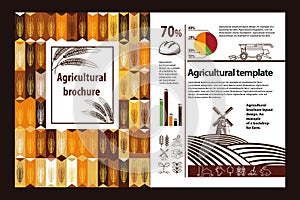 Agricultural brochure layout design. An example of a backdrop for farm. Agricultural infographic, logo set.