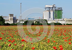Agricultural buildings with grain silos and drying tower behind a large wheat field with a lot of red poppies