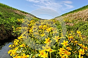 Agricultural canal. photo