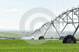 An agricultural center pivot irrigation system.