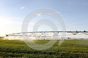 An agricultural center pivot sprinkler