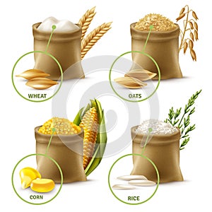 Agricultural Cereals Set
