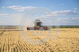 Agricultural combine harvester harvesting cereals on the sunny summer day, blue sky