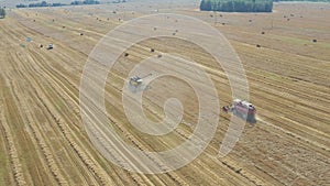 Agricultural combines harvest ripe wheat crops on farm field aerial view