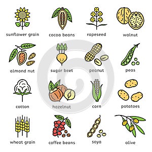 Agricultural commodities of the plant origin icons set in flat style design with editable stroke outline