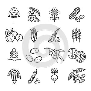 Agricultural commodities of vegetable origin linear icons set
