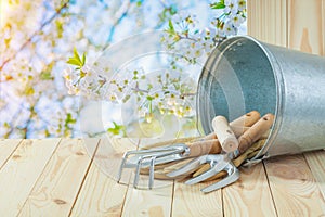 Agricultural composition garden hand tools in bucket on table