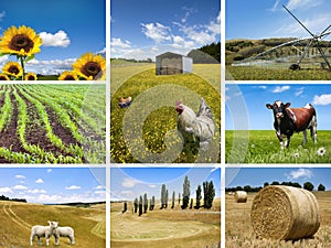 Agricultural concepts