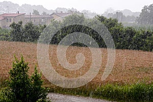Agricultural disaster, field of flooded crops