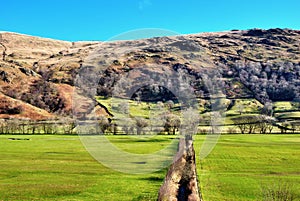 Agricultural Drainage Ditch