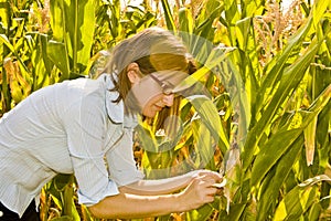 Agricultural engineer