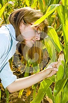 Agricultural engineer in corn field