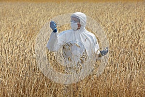 Agricultural engineer on field examining ripe ears