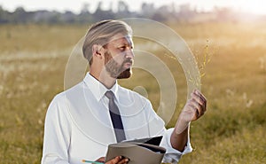 Agricultural engineer holding examining plant