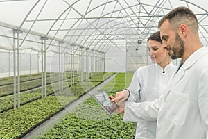 Agricultural Engineers using tablet greenhouse. Seedlings Greenh photo