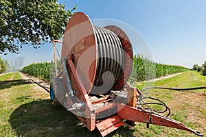 Water sprinkler installation in a field of corn.