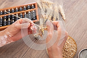 Agricultural experts are estimating the output of new wheat by sampling and weighing