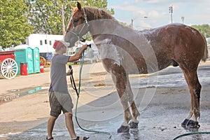 Agricultural exposition of St-Hyacinthe.