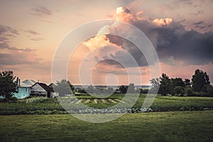 Agricultural farm countryside landscape with dramatic sunset sky and cultivated field on farmer`s vegetable garden.