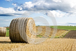 Agricultural field