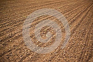 Agricultural field, Arable land soil