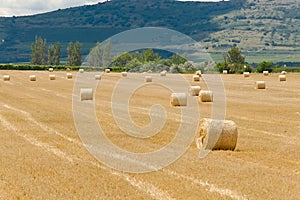 Agricultural field with bales