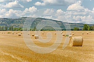 Agricultural field with bales