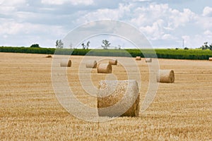 Agricultural field with bales