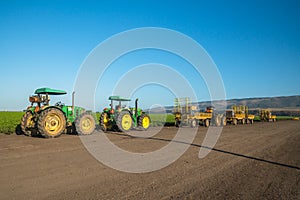 Agricultural field of celery plant and agricultural machines. Tractors at sunset, standing on the road after working day close to