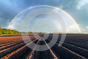 Agricultural field with even rows in the spring