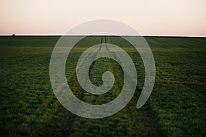 Agricultural field of grains with a road. Concept of agricultural in Europe.