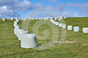 Agricultural field with hay bales