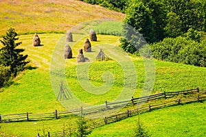 agricultural field on a hillside with haystacks on a green grassy meadow