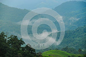 Agricultural field on the mountain