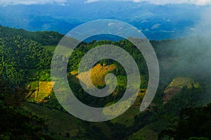 Agricultural field on the mountain