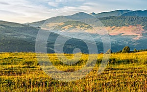 Agricultural field in mountains