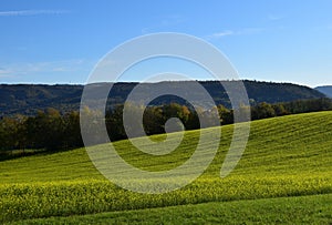 Agricultural field and nature Autumn landscape photo
