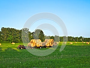 Agricultural field with Round Bales of hay to feed cattle in winter