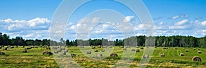 Agricultural field with Round Bales of hay to feed cattle in winter