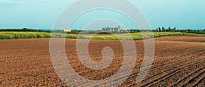 Agricultural field seedbed after crop seeding photo