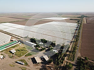 Agricultural field in Sinaloa Mexico photo