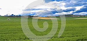 Agricultural Field, Spain