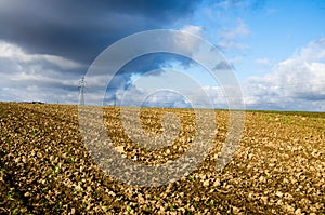 Agricultural field in the stormy weather