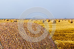 Agrícola paja chimeneas 