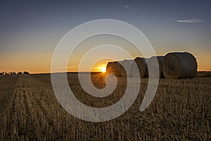 An agricultural field at sunset in Denmark