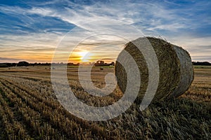 An agricultural field at sunset in Denmark