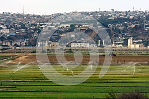 Agricultural field and Tijuana