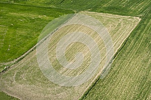 Agricultural field view