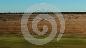 Agricultural field view from a moving vehicle